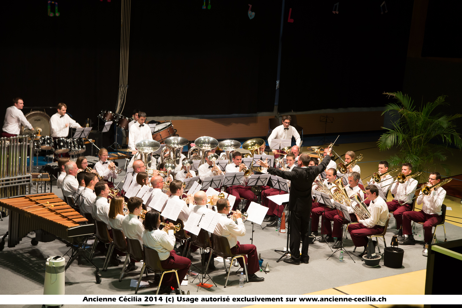 Fête cantonale de musique à Martigny en 2014